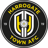 Mascot experience - HARROGATE TOWN 31/10/26 (GOALKEEPER KIT)
